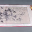 Zheng Banqiao, 郑板桥竹石图